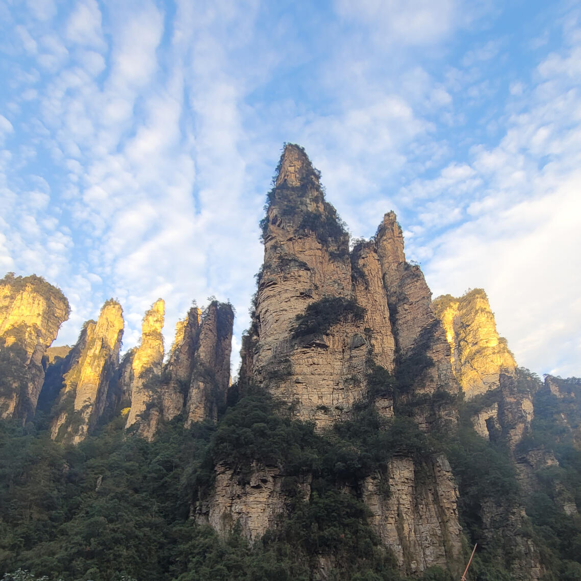 Specialized teachers Karkade connects you to teachers who are great in teaching Chinese to non-Chinese speakers.